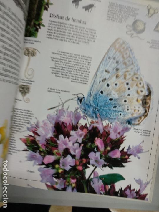Libros de segunda mano: LOS SECRETOS DE LAS PLANTAS. BURNIE, DAVID - Foto 2