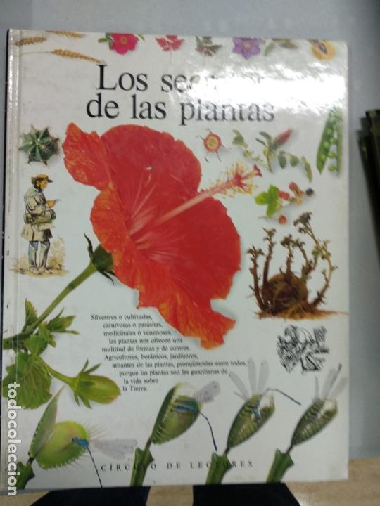 Libros de segunda mano: LOS SECRETOS DE LAS PLANTAS. BURNIE, DAVID - Foto 1