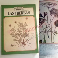 Libros de segunda mano: EL MUNDO DE LAS HIERBAS LIBRO CAROLINE AUSTIN PRECIOSAS ILUSTRACIONES HISTORIA SALUD COCINA BEBIDAS. Lote 167731056