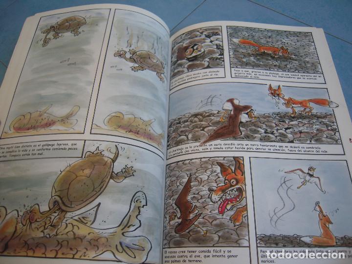 Libros de segunda mano: La vida en los humedales - Foto 5