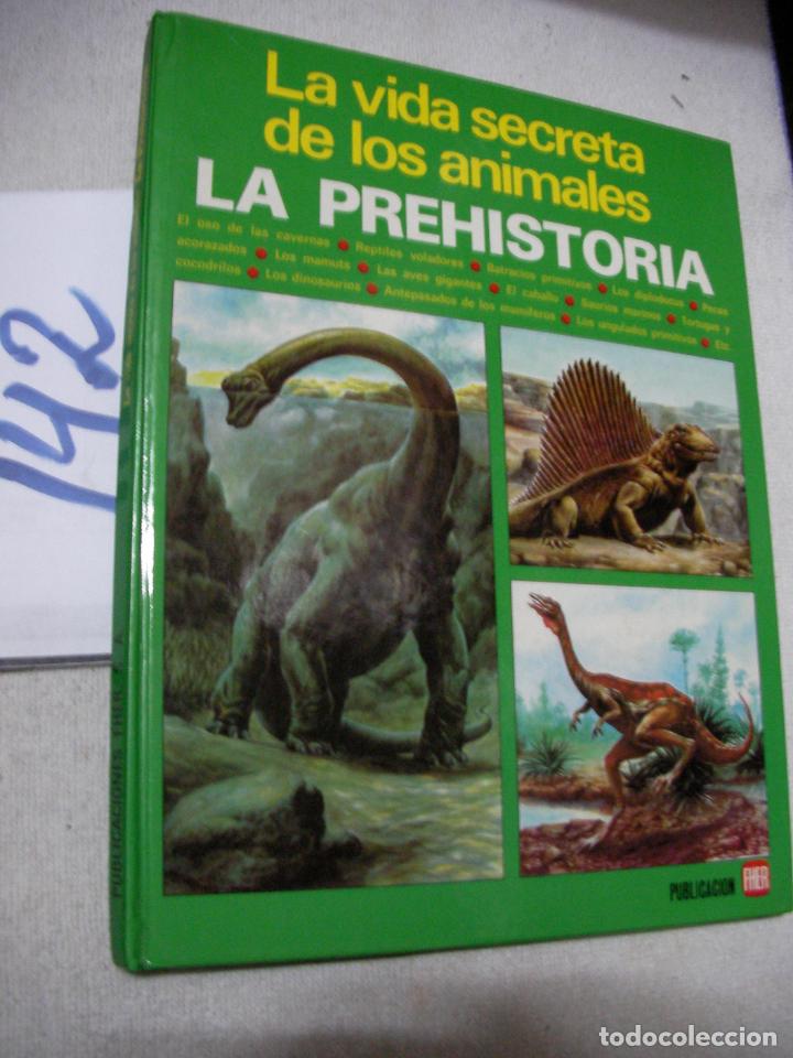 Libros de segunda mano: ANTIGUO LIBRO - LA VIDA SECRETA DE LOS ANIMALES - LA PREHISTORIA - Foto 1