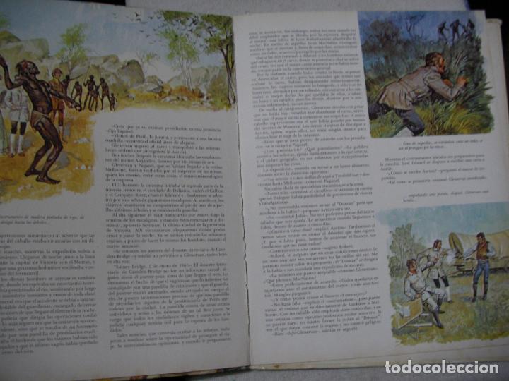 Libros de segunda mano: VIDA INTIMA DE LOS ANIMALES - ANIMALES DEL MUNDO - Foto 2