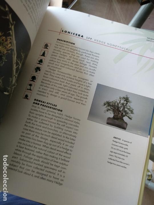 Libros de segunda mano: The Bonsai Identifier (Identifier series) Gordon Owen - Foto 2