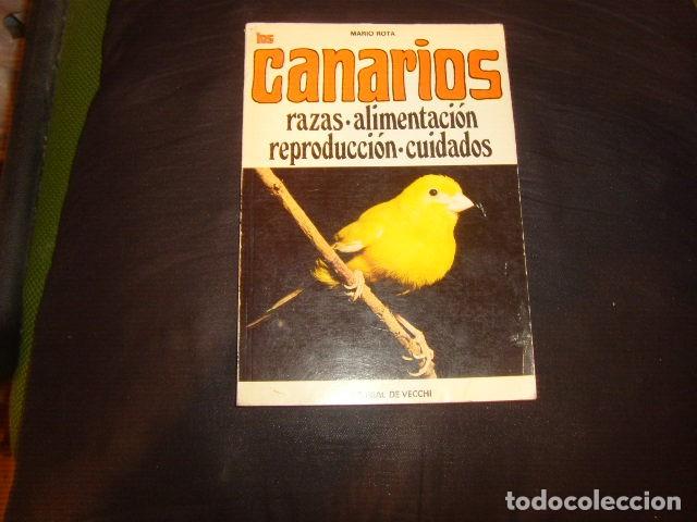 Libros de segunda mano: LOS CANARIOS , MARIO ROTA - Foto 1
