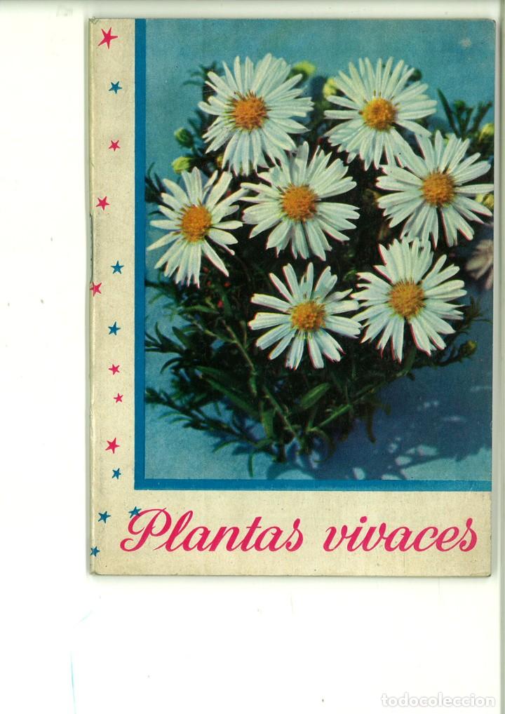 Libros de segunda mano: PLANTAS VIVACES. Folletos Kanda. - Foto 1