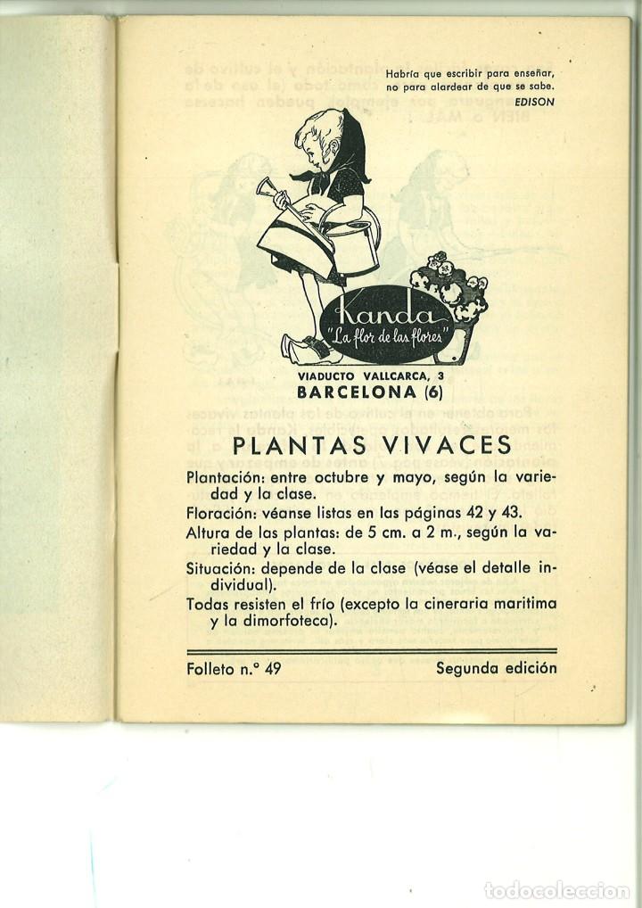 Libros de segunda mano: PLANTAS VIVACES. Folletos Kanda. - Foto 2