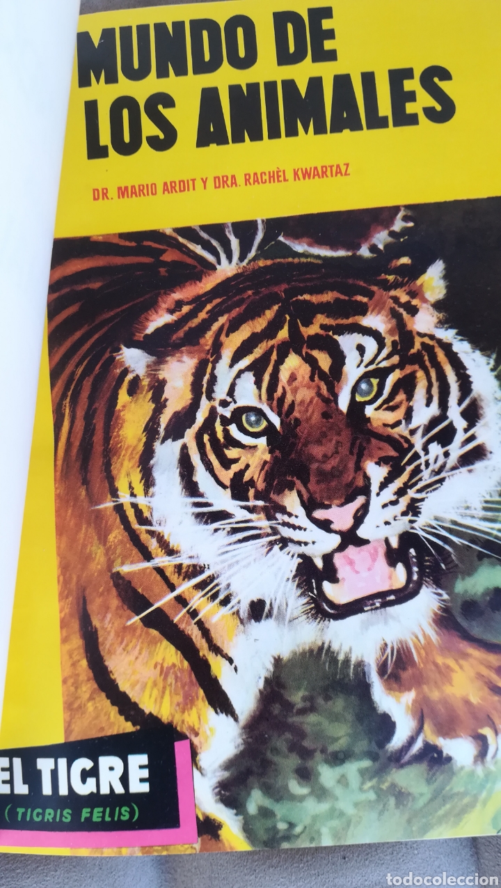 Libros de segunda mano: El mundo de los animales, tomo I - Foto 3