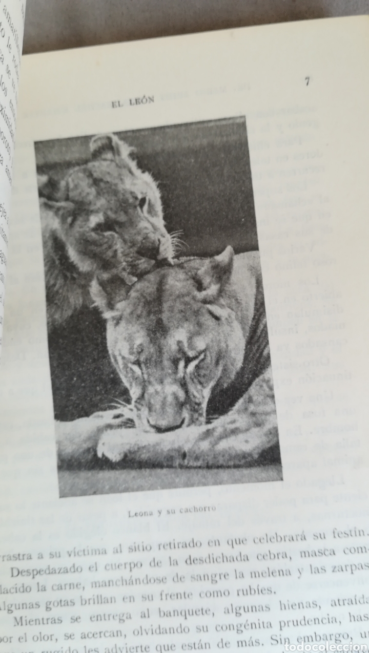 Libros de segunda mano: El mundo de los animales, tomo I - Foto 4