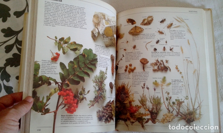 Libros de segunda mano: GUIA DEL NATURALISTA. GERALD DURRELL. - Foto 2