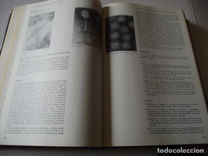 Libros de segunda mano de ciencias: Bioquimica - Lehninger - Foto 3