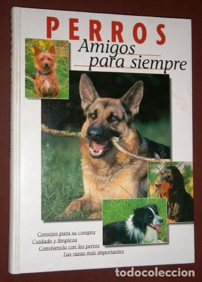 Libros de segunda mano: Perros: Amigos para siempre por varios autores de Lisma Ediciones en Eslovenia 1999