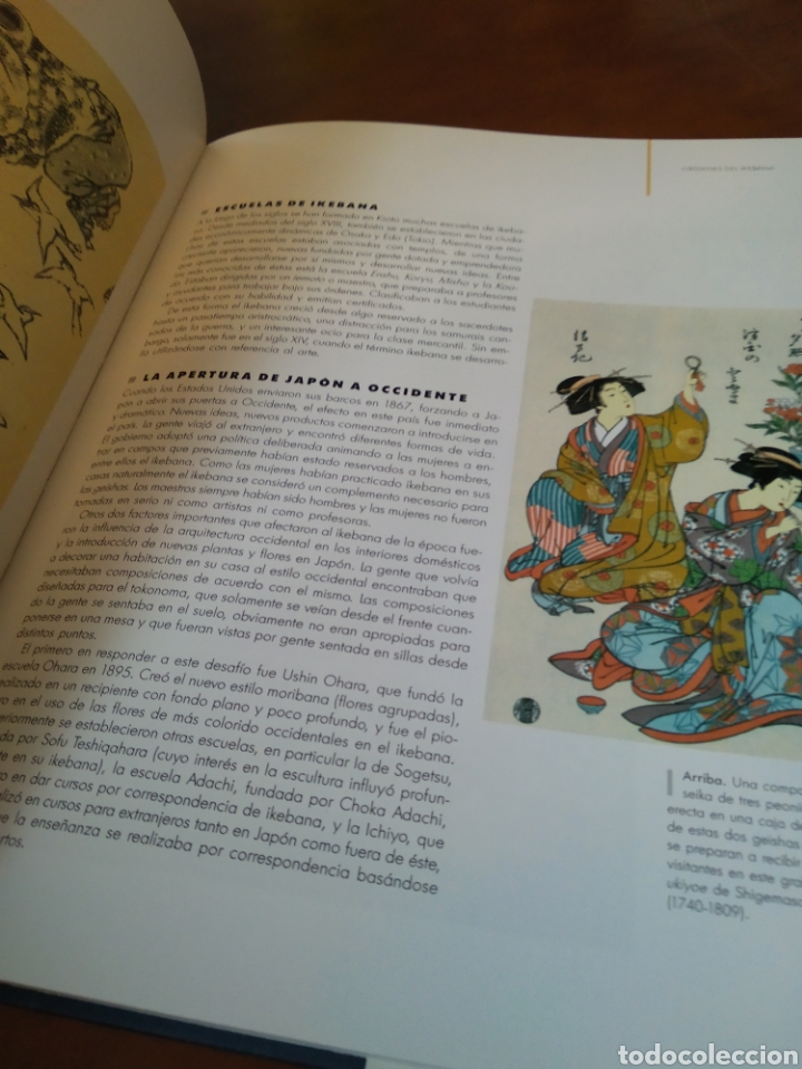 Libros de segunda mano: IKEBANA. ELIZABETH PALMER #1785 - Foto 2