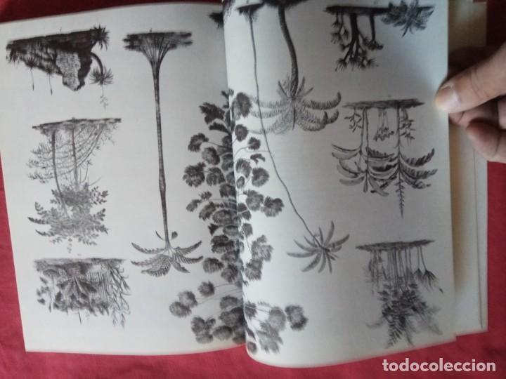 Libros de segunda mano: Darwin. La expedicion en el Beagle- Alan Moorehead. - Foto 4