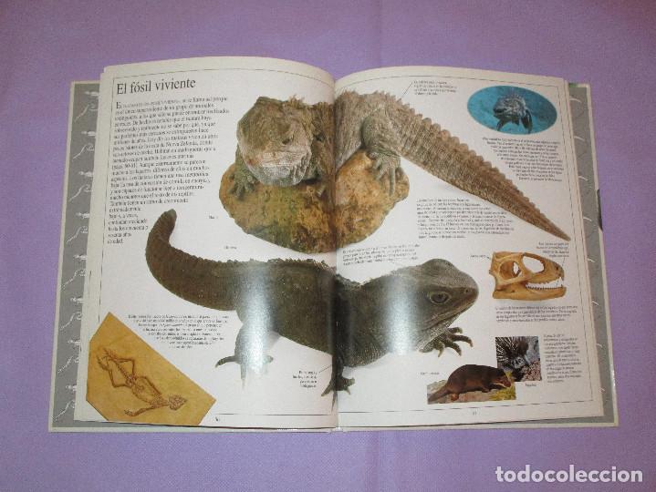 Libros de segunda mano: BIBLIOTECA VISUAL ALTEA ( REPTILES ) - COLIN MCCARTHY - Foto 2