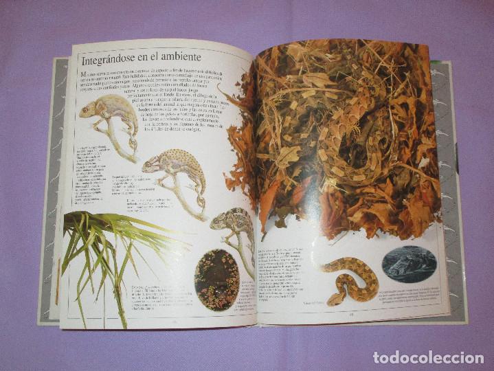 Libros de segunda mano: BIBLIOTECA VISUAL ALTEA ( REPTILES ) - COLIN MCCARTHY - Foto 3