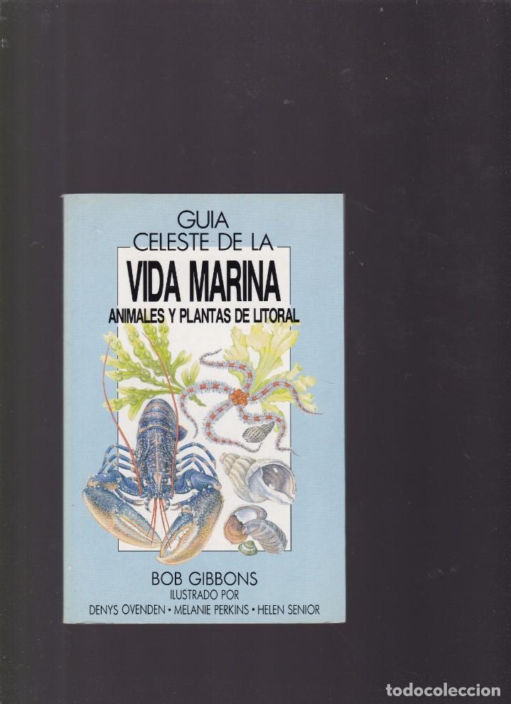 Libros de segunda mano: GUIA CELESTE DE LA VIDA MARINA - BOB GIBBONS - CELESTE EDICIONES 1991 / ILUSTRADO - Foto 1