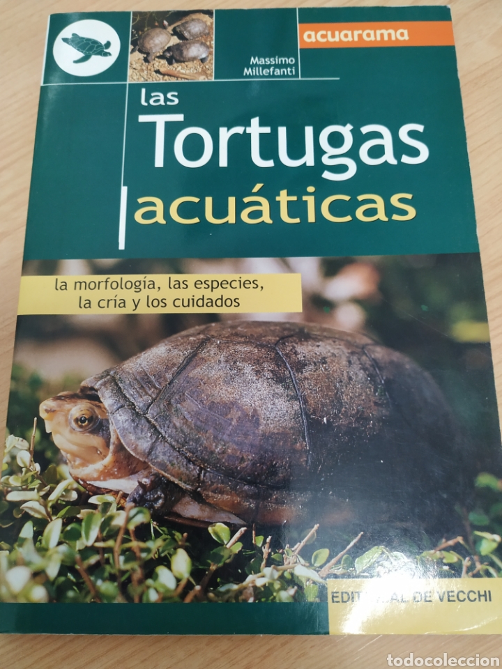 Libros de segunda mano: Las tortugas acu&aacute;ticas, Massimo millefanti - Foto 1