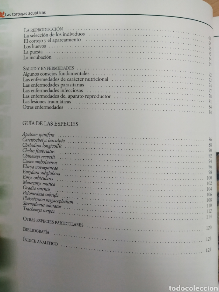 Libros de segunda mano: Las tortugas acu&aacute;ticas, Massimo millefanti - Foto 3