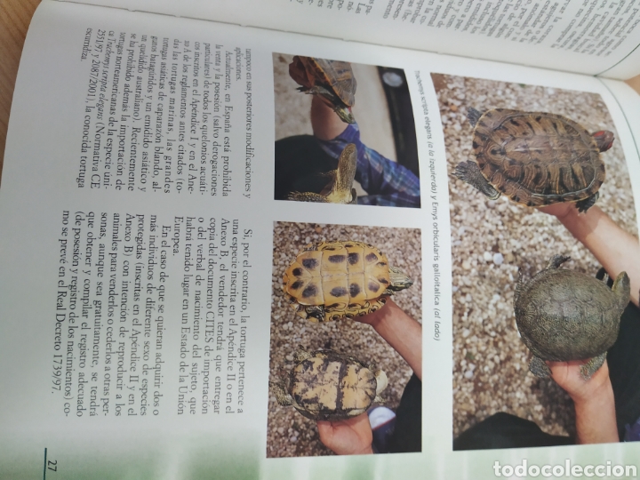 Libros de segunda mano: Las tortugas acu&aacute;ticas, Massimo millefanti - Foto 4