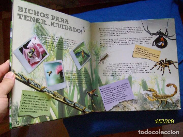 Libros de segunda mano: BICHOS EDITORIAL MOLTO DISCOVERY WORLDS - Foto 2