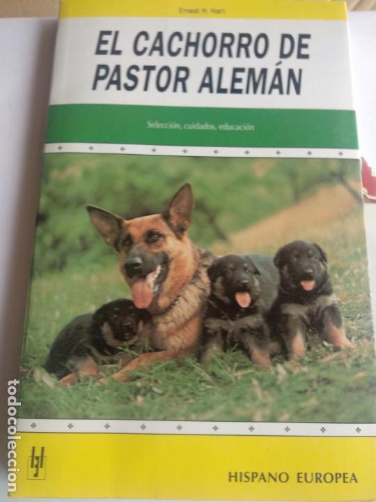 Libros de segunda mano: Libro t&eacute;cnico: El Cachorro de Pastor Alem&aacute;n. - Foto 1