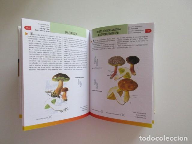 Libros de segunda mano: MANUAL DE SETAS - GRAN ENCICLOPEDIA DE SETAS Y HONGOS - SERVILIBRO 2000 - Foto 2
