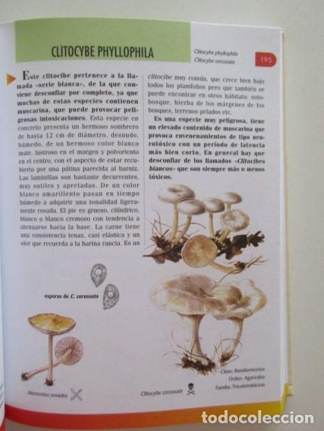 Libros de segunda mano: MANUAL DE SETAS - GRAN ENCICLOPEDIA DE SETAS Y HONGOS - SERVILIBRO 2000 - Foto 3