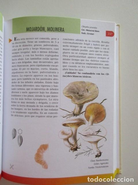 Libros de segunda mano: MANUAL DE SETAS - GRAN ENCICLOPEDIA DE SETAS Y HONGOS - SERVILIBRO 2000 - Foto 4