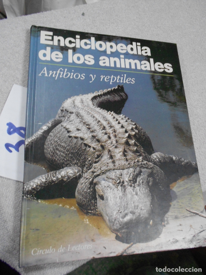Libros de segunda mano: ANFIBIOS Y RECTILES - Foto 1