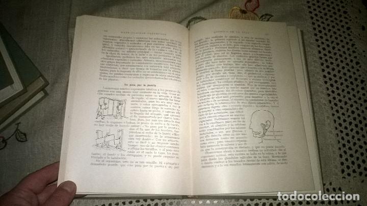 Libros de segunda mano de ciencias: 48-QUIMICA DE LA VIDA- Dr. Hans Joachim Flechtner, - Foto 5