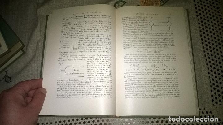 Libros de segunda mano de ciencias: 48-QUIMICA DE LA VIDA- Dr. Hans Joachim Flechtner, - Foto 8