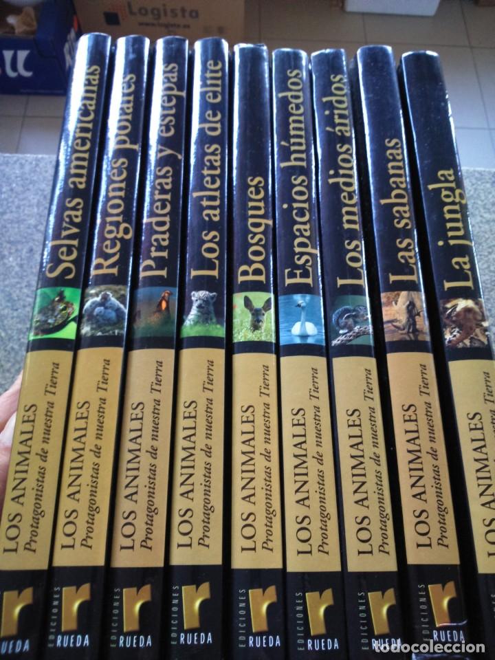 Libros de segunda mano: LOS ANIMALES PROTAGONISTAS DE NUESTRA TIERRA -- 9 TOMOS -- EDICIONES RUEDA 2004 -- - Foto 1