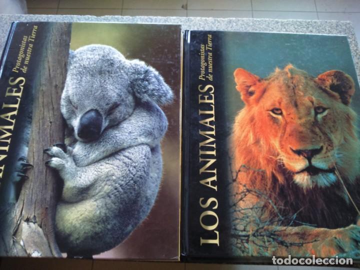 Libros de segunda mano: LOS ANIMALES PROTAGONISTAS DE NUESTRA TIERRA -- 9 TOMOS -- EDICIONES RUEDA 2004 -- - Foto 2