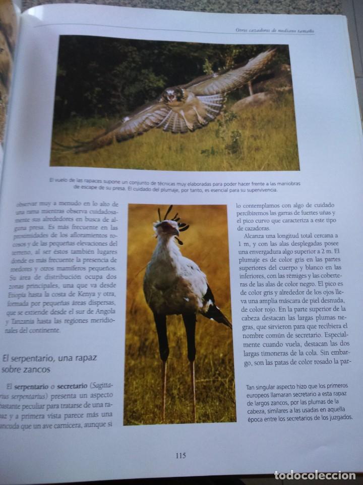 Libros de segunda mano: LOS ANIMALES PROTAGONISTAS DE NUESTRA TIERRA -- 9 TOMOS -- EDICIONES RUEDA 2004 -- - Foto 3