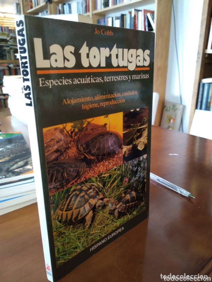 Libros de segunda mano: LAS TORTUGAS. JO COBB #2423 - Foto 1