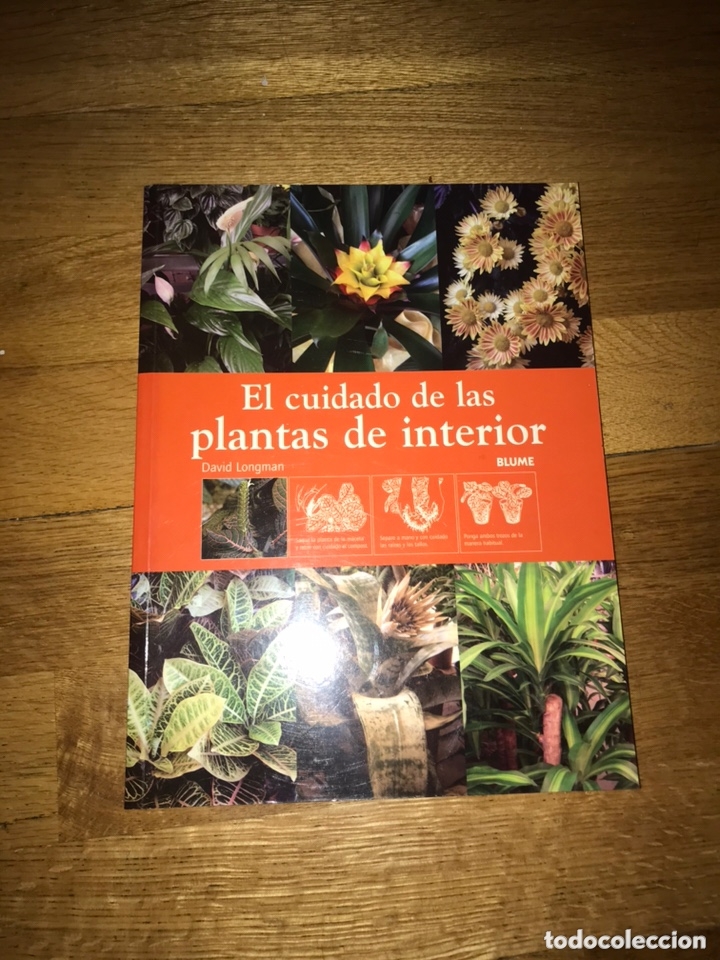 Libros de segunda mano: El cuidado de las plantas de interior David Longman - Foto 1