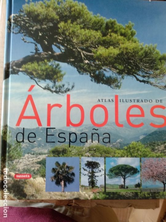Libri di seconda mano: ATLAS ILUSTRADO DE ARBOLES DE ESPA&Ntilde;A