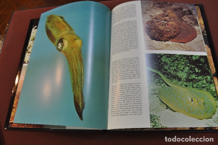 Libros de segunda mano: venomous animals - robert burton - idioma ingl&eacute;s - FFB - Foto 4