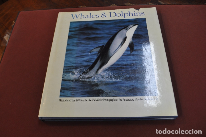 Libros de segunda mano: Whales dolphis - Vic Cox - CRESCENT - idioma ingl&eacute;s - FFB - Foto 1