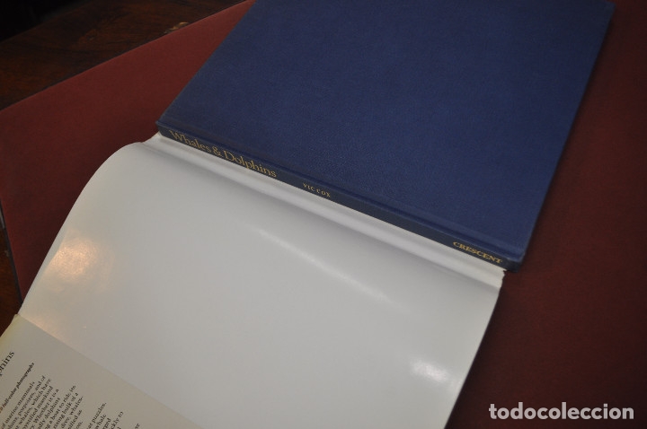 Libros de segunda mano: Whales dolphis - Vic Cox - CRESCENT - idioma ingl&eacute;s - FFB - Foto 2