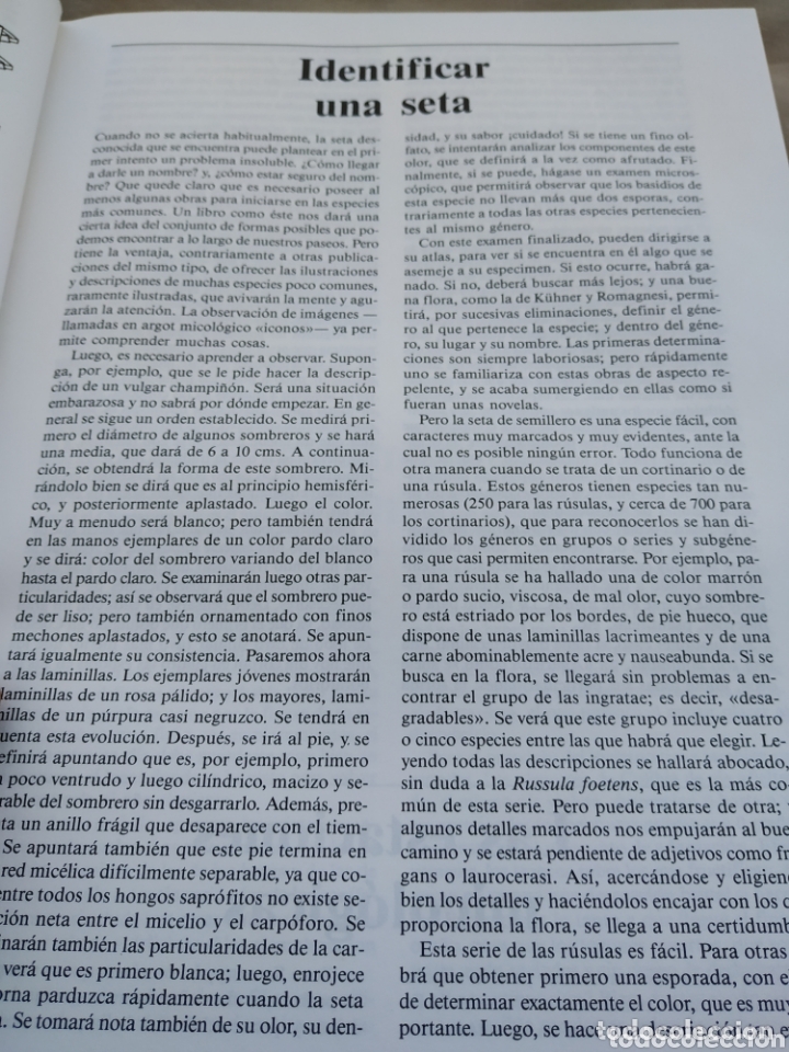 Libros de segunda mano: El libro de las setas. Susaeta. 1989 - Foto 6