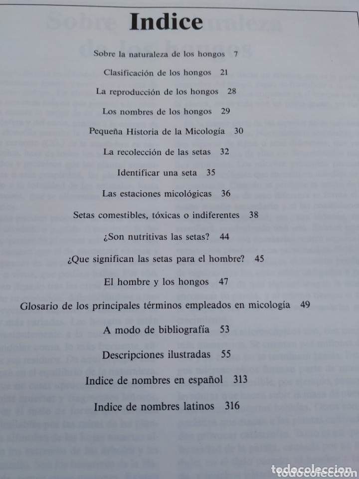 Libros de segunda mano: El libro de las setas. Susaeta. 1989 - Foto 7