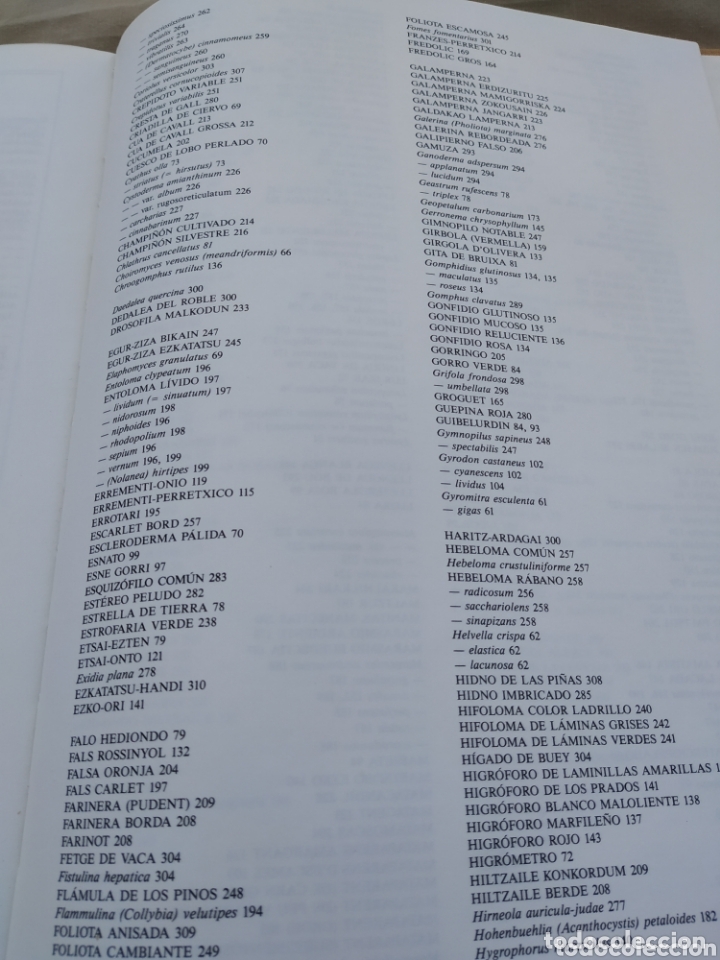 Libros de segunda mano: El libro de las setas. Susaeta. 1989 - Foto 15