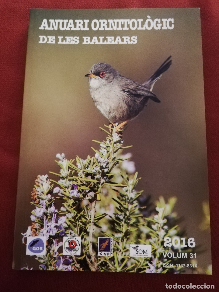 Libros de segunda mano: ANUARI ORNITOL&Ograve;GIC DE LES BALEARS 2016, VOLUM 31 - Foto 1