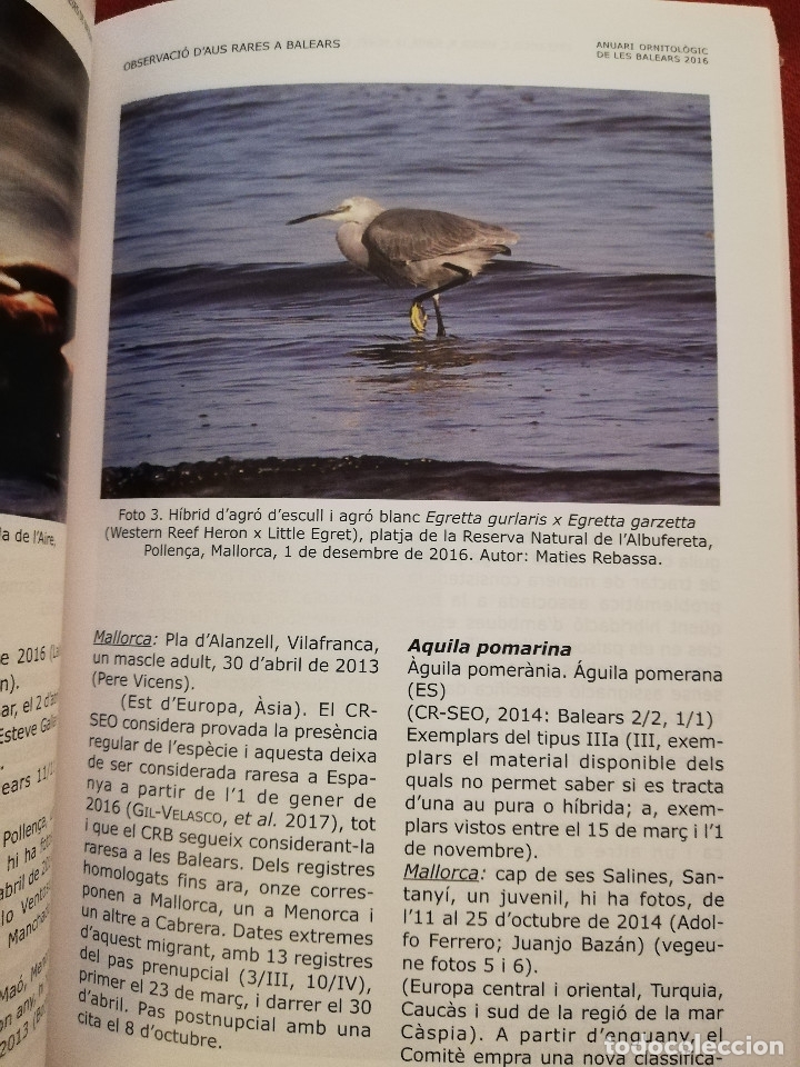 Libros de segunda mano: ANUARI ORNITOL&Ograve;GIC DE LES BALEARS 2016, VOLUM 31 - Foto 5