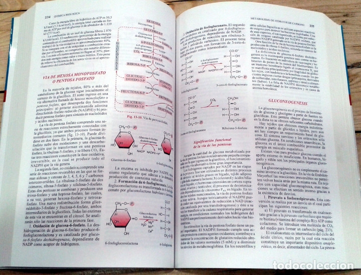 Libros de segunda mano de ciencias: Qu&iacute;mica Biol&oacute;gica, de Antonio Blanco - Foto 3