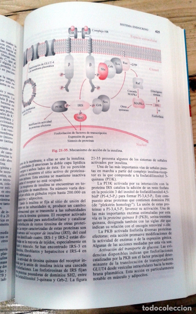 Libros de segunda mano de ciencias: Qu&iacute;mica Biol&oacute;gica, de Antonio Blanco - Foto 4