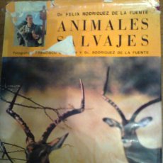 Libros de segunda mano: ANIMALES SALVAJES (FÉLIX RODRÍGUEZ DE LA FUENTE). Lote 172863043
