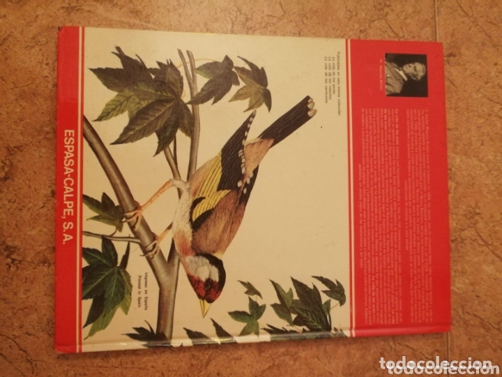 Libros de segunda mano: Libro la vida de las aves - Foto 2