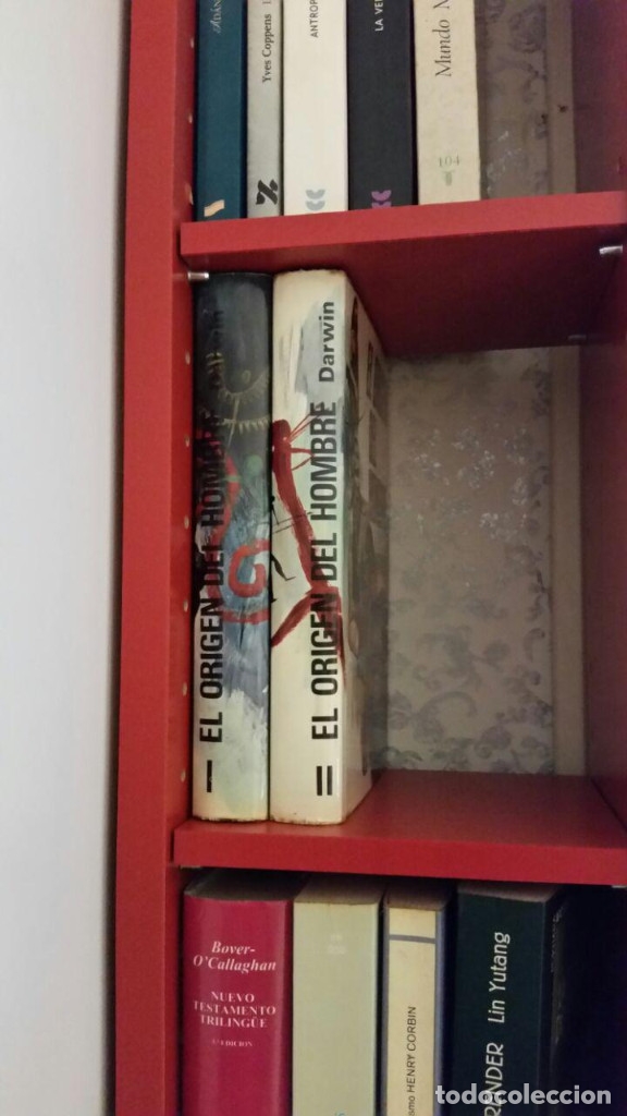 Libros de segunda mano: EL ORIGEN DEL HOMBRE &ndash; 2 TOMOS - DARWIN  DISTRIBUCIONES EDITORIALE - Foto 5